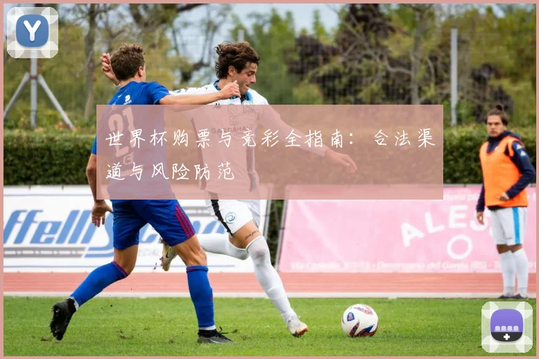 世界杯购票与竞彩全指南：合法渠道与风险防范