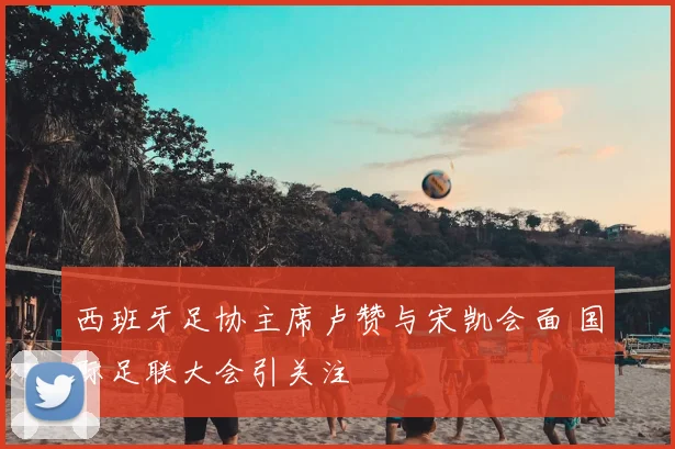 西班牙足协主席卢赞与宋凯会面 国际足联大会引关注